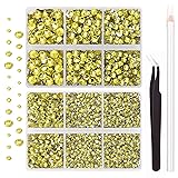 AUREHEN 10000PCs 2-6MM Citrine Resin Flat Back