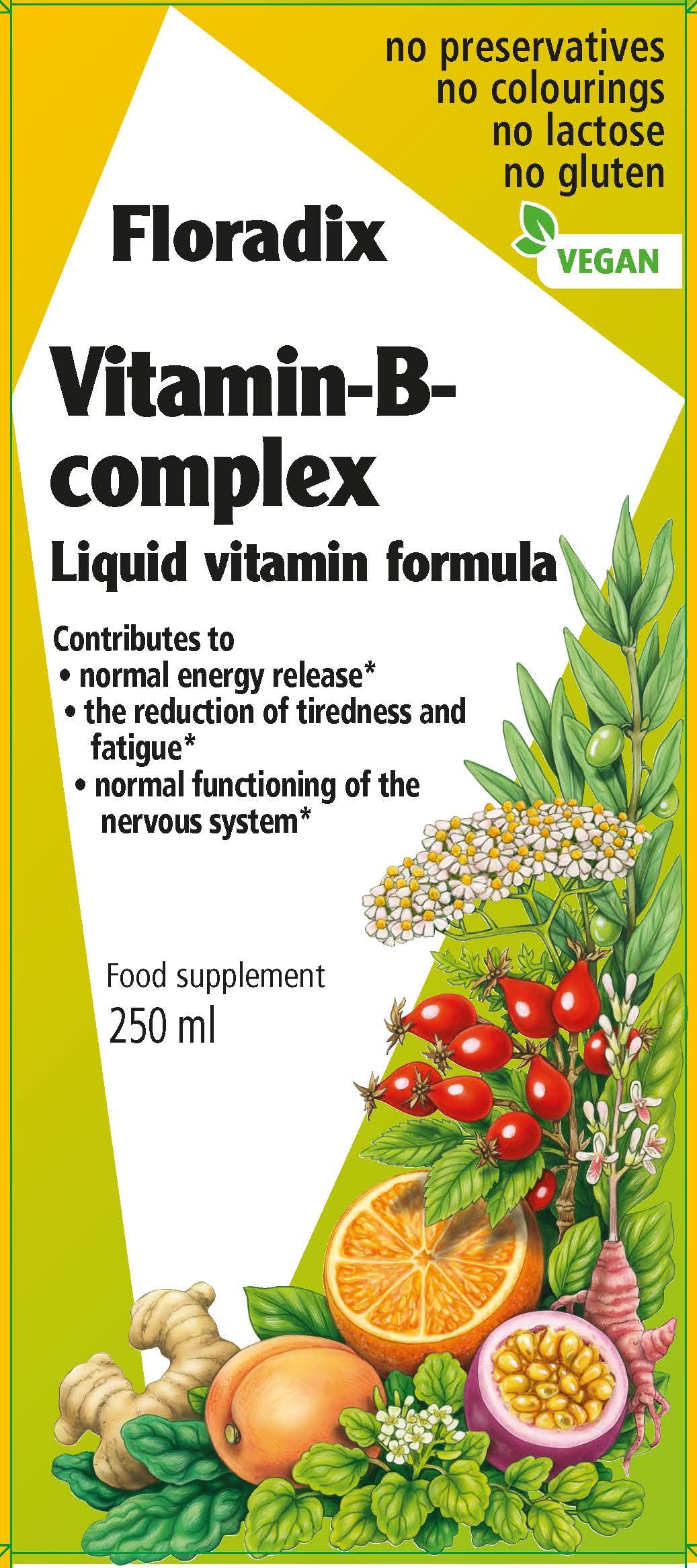 Floradix Vitamin B Complex Liquid Formula, 250 ml
