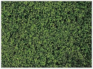 Allenjoy 8x6ft Nature Green Lawn Leaves Backdrop for Photography Grass Floordrop pictures Background Spring Party Ground Decor Outdoorsy Theme Newborn Baby Shower Lover Wedding Photo Studio Props Drop