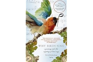 Why Birds Sing: A Journey Into the Mystery of Bird Song