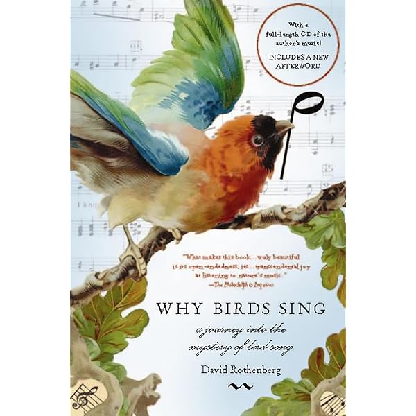 Bug Music: How Insects Gave Us Rhythm and Noise: Rothenberg, David