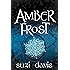 Amber Frost (The Lost Magic Book 1)