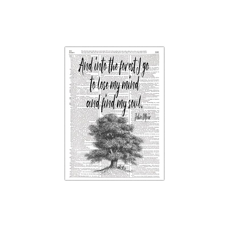 Into The Forest I Go John Muir Quote Environmentalist Nature Lover Dictionary Page Photo Print 8x10 Unframed Handmade Amazon Com Into The Forest I Go John Muir Quote Environmentalist Nature Lover Dictionary Page Photo Print 8x10 Unframed Handmade Amazon Com