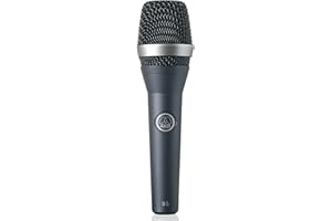 AKG Pro Audio D5 D5 Professional Dynamic Stage Vocal Microphone