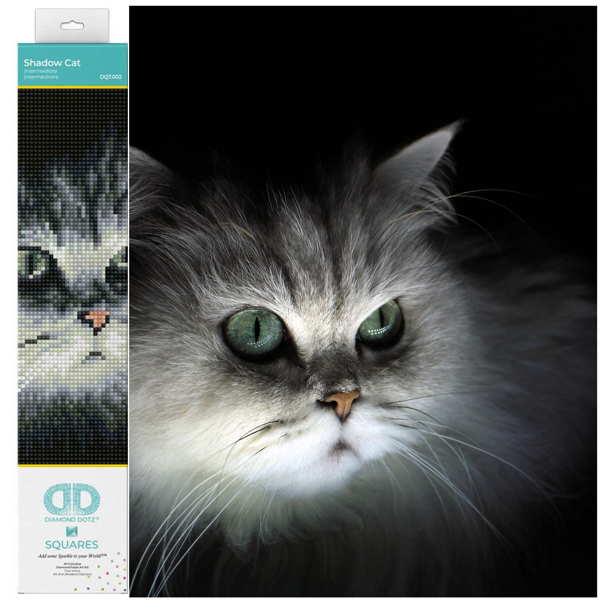 DIAMOND DOTZ Squares DQ7 Intermediate Kit, Colourful, 12.5" x 9.8"