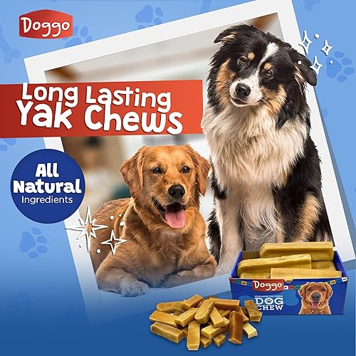 Premium Yak Cheese Himalayan Dog Chews, Natural Yak Chews for