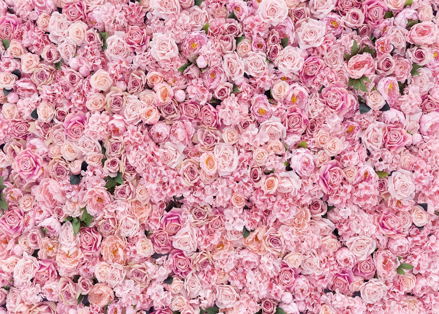 BINQOO 8x6ft Pink Rose Wall background Pink Flowers Amazon.co.uk
