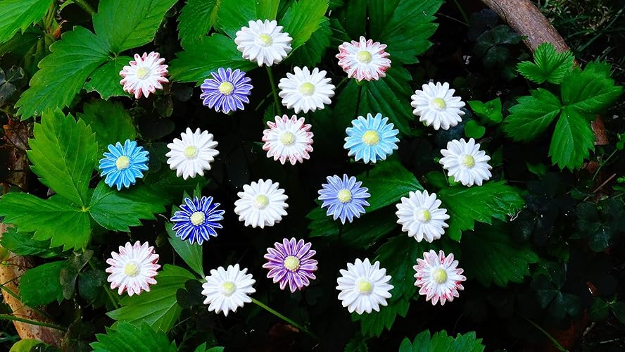 20 Keramikblumen: Gänseblümchen