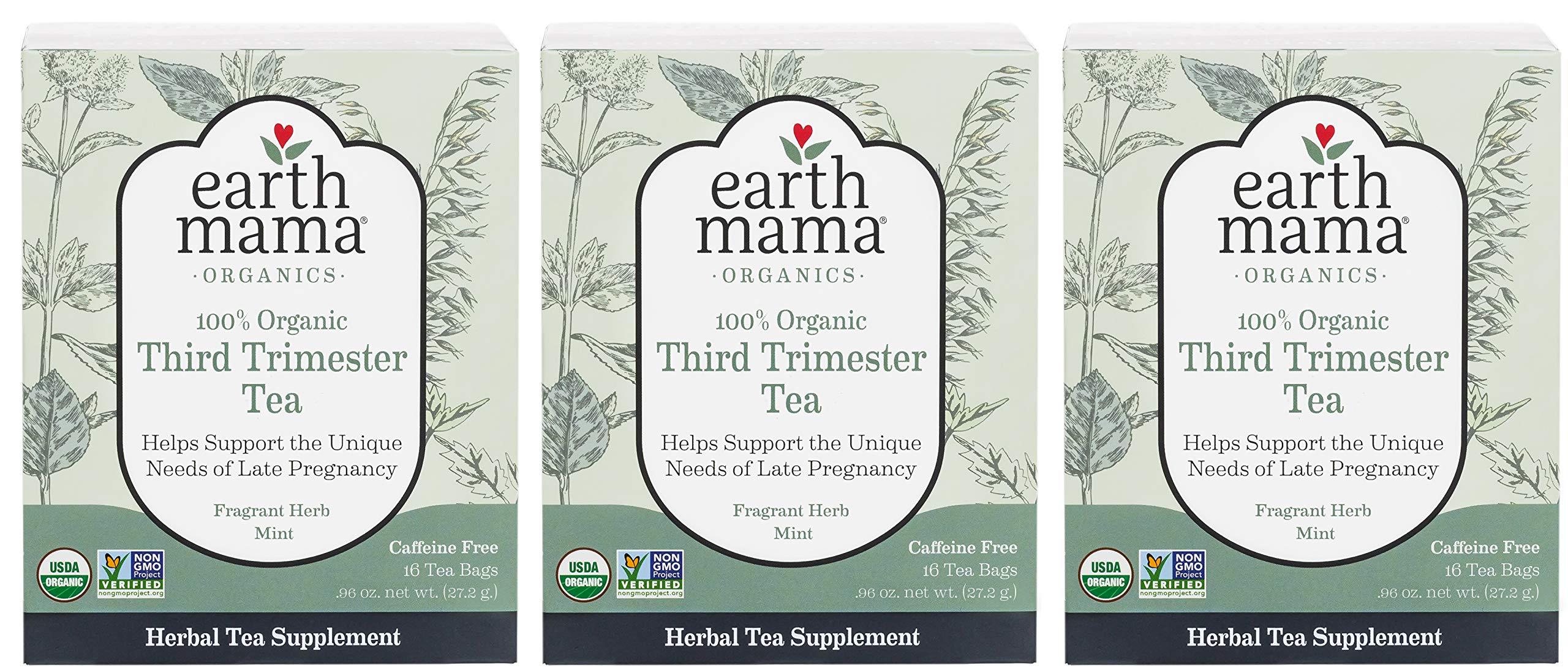 Earth Mama Organic Raspberry Leaf Tea Bags for Labor Tonic