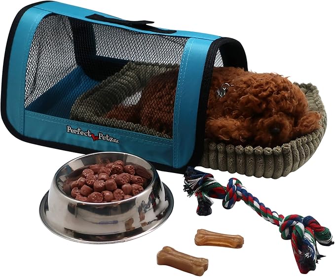 Unleash the Best Top 10 Perfect Pet Accessories for Every Furry Friend