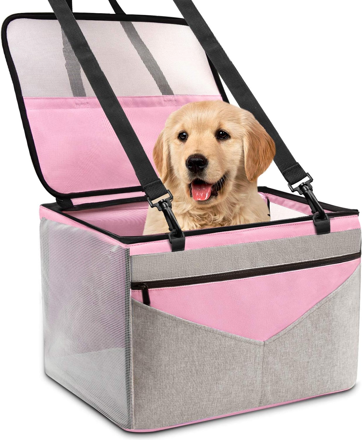 dog car carrier medium