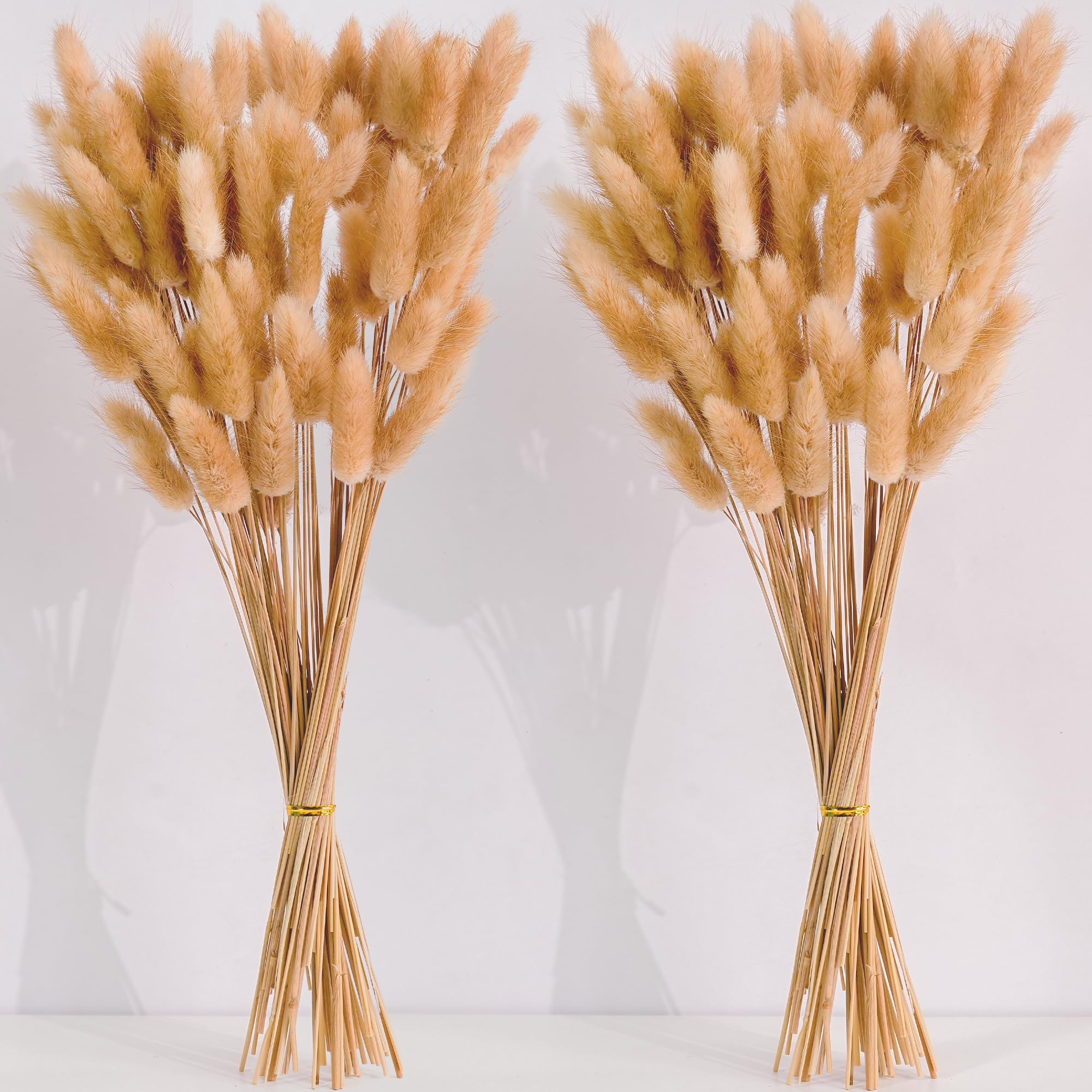 Photo 1 of 120 PCS Nature Dried Pampas Grass Decor, 17-inch Pompas Floral, Dry Flowers for Decoration, Pampas Grass in Bulk Tall, Nature Bunny Tails Dried Flowers for Boho Wedding Decor