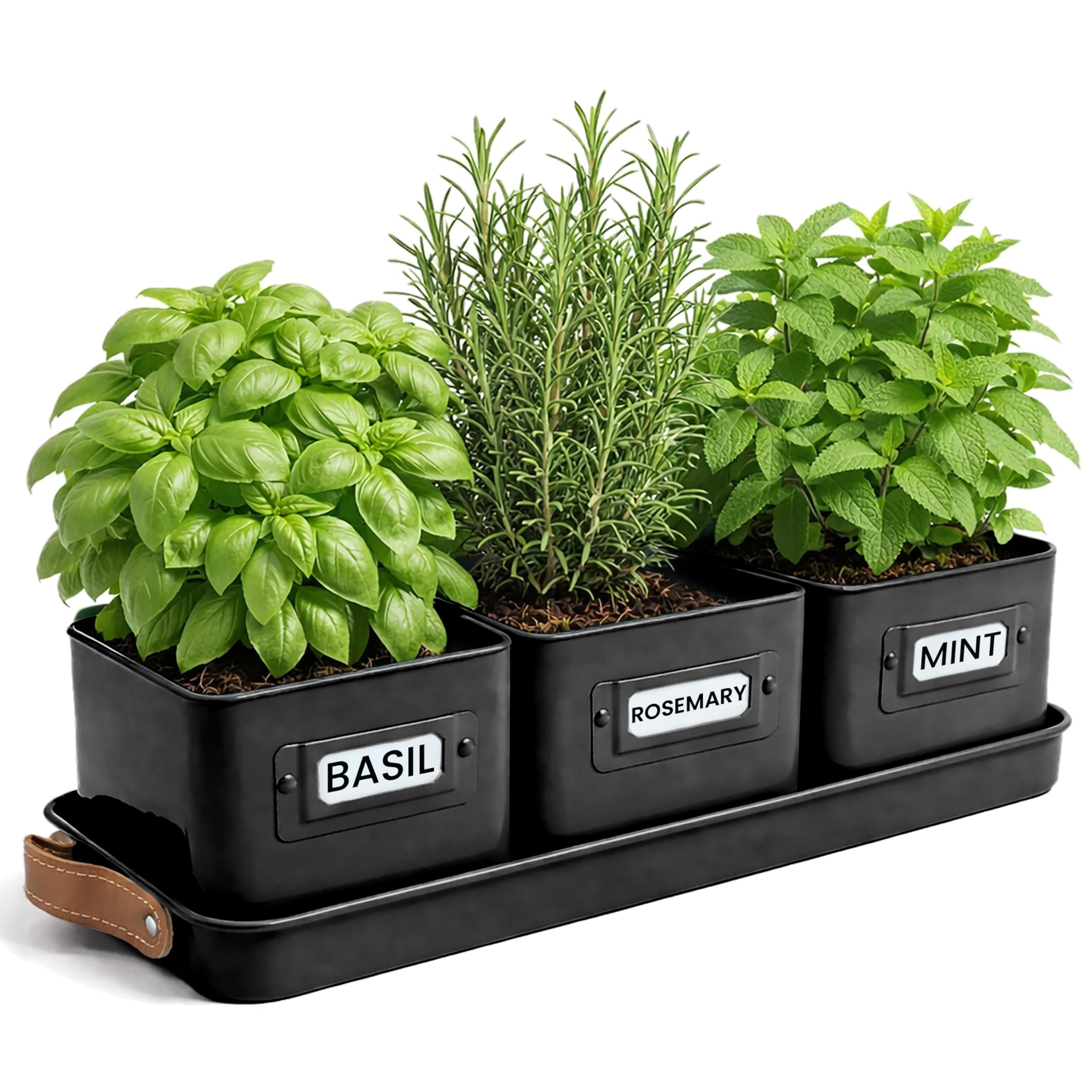 Green Thumbz Herb Pots for Kitchen Windowsill - Set of 3 Black Herb Planter Indoor with Leather Handled Tray - Ideal for an Indoor Herb Garden, Plants and Flowers - Labels Included — image 1