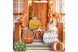 MOUCUNY Set of 6 Farmhouse Outdoor Thanksgiving Fall Decoration for Home Pumpkin Thanksgiving Fall Porch Signs Decoration Standing Thankful Grateful Blessed Welcome Sign for Front Porch Garden Party(Novel)