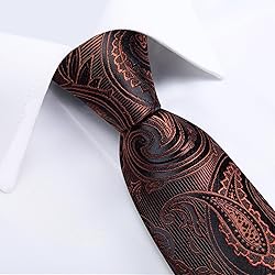 DiBanGu Silk Paisley Ties for Men Woven Necktie and