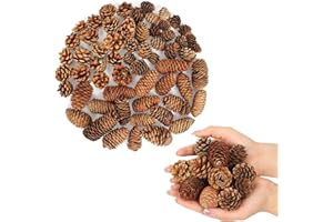SZONEE 60 Pcs Large Natural Pine Cones for Crafts, 3 Kinds of Pine Cones. Christmas Pine Cones Ornaments- Fall Small Pinecones Vase Fillers for DIY Crafts, Home Decorations, Fall and Christmas, Wedding Decor