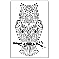 Owl Adult Coloring, Stretched primed canvas to color, Size – 8 x 12 Inches