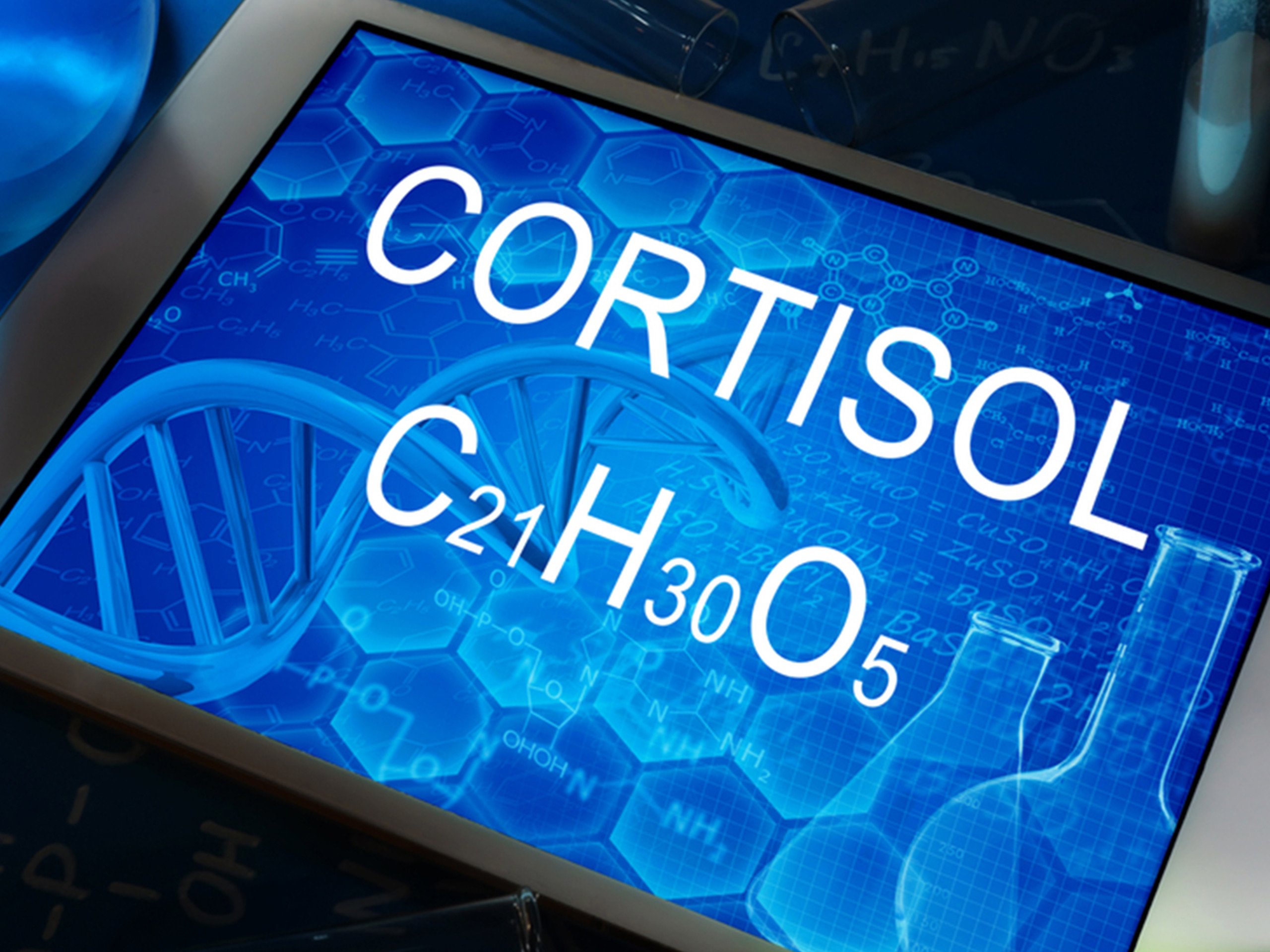 Watch Changing Body Composition through Diet and Exercise Prime Video