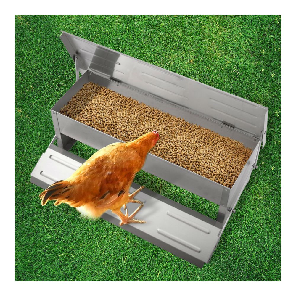 Automatic Chook Feeder