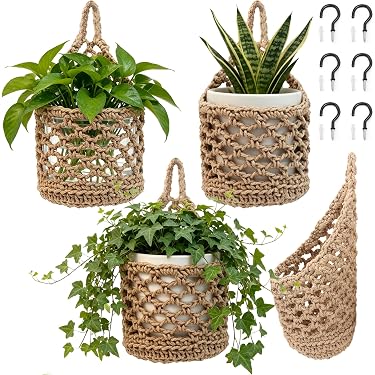 lily plant indoor Buy Peace Lily Plants Online main image 1