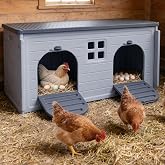 Nesting Boxes for Chickens, Plastic Chicken Nesting Box with Door Or Ramp | Waterproof 2 Compartment Chicken Nesting Box for Laying Eggs for Hens, Ducks and Poultry, Clean and Assemble Easily