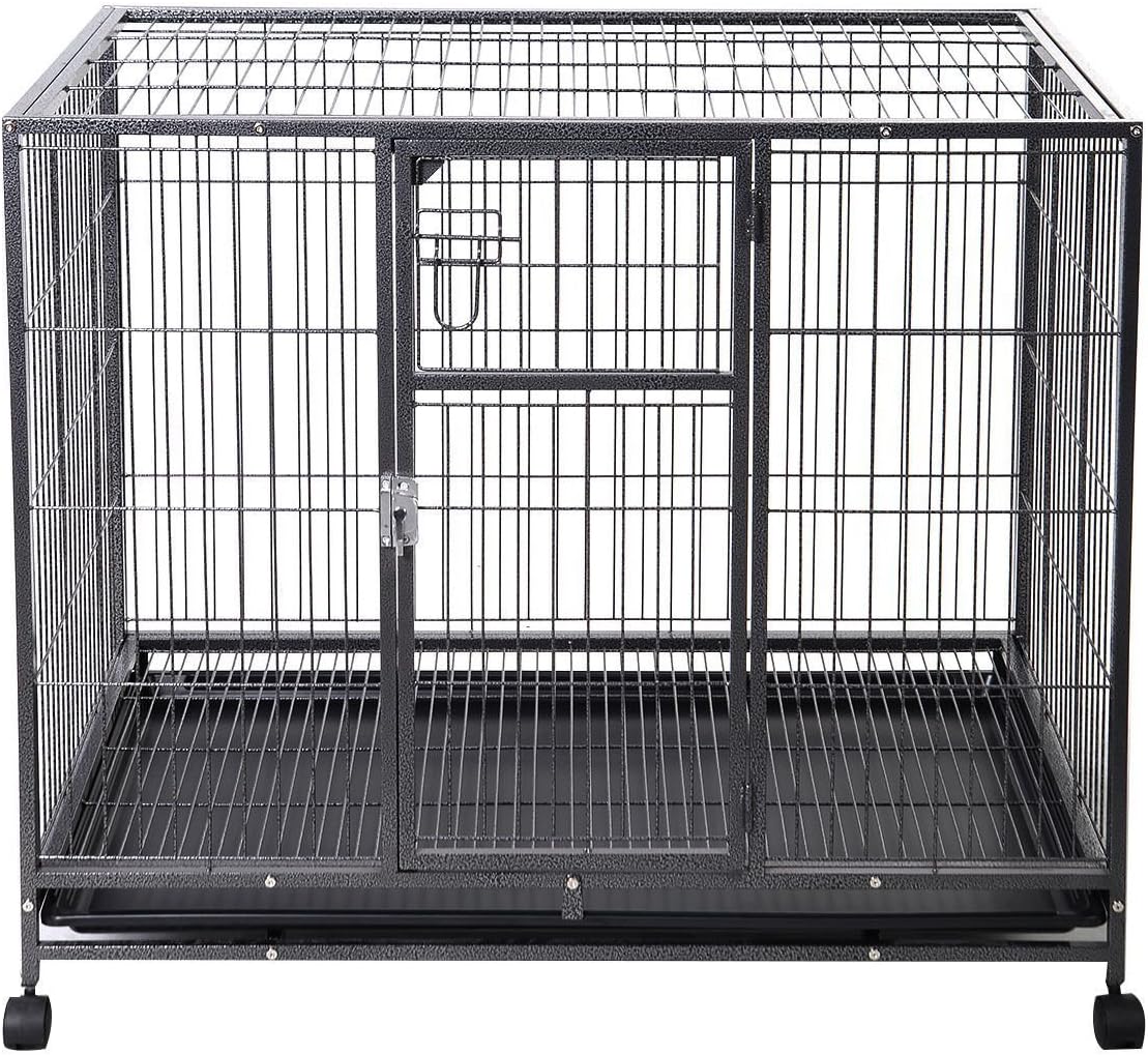 great dane running speed