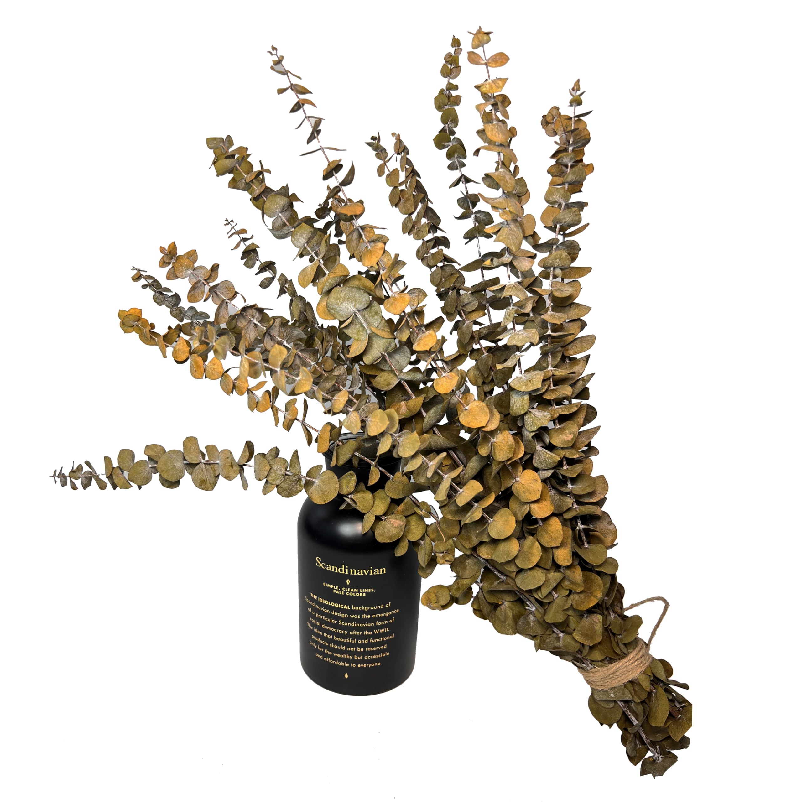 Photo 1 of (20Pcs) Dried Eucalyptus Stems - Red, Real Long Eucalyptus, Dried Flowers for Vase, 17" Floral Arrangement, Wedding (Yellow)