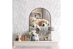 PUZONJIG Arched Wall Mirror 20"X30", Black Bathroom Vanity Mirror with Frosted Metal Frame, Modern Farmhouse Mirror Wall Mounted, Curved Arch Design for Bedroom, Living Room & Home Decor