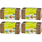 Mestemacher Organic Sunflower Seed Bread, Authentic German Whole Grain Rye Bread, USDA Organic, High Fiber, No Preservatives, Shelf Stable German Bread, 17.6 Oz [Pack of 4]