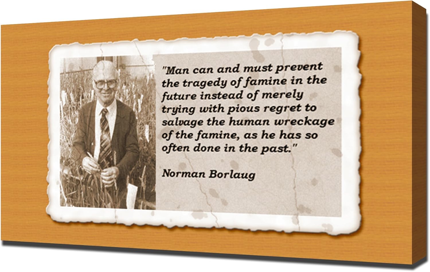 Amazon.com: Norman Borlaug Quotes 5 - Canvas Art Print: Posters & Prints
