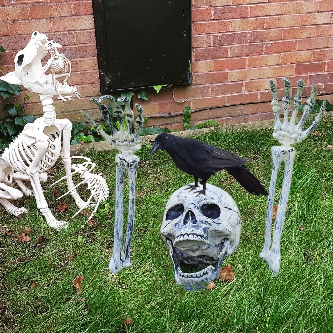 Decorative Garden Stakes - AOGU Halloween Decorations Realistic Skeleton Stakes with Crow Outdoor Indoor Yard Lawn Garden Groundbreakers Haunted House Decorations