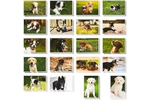 BEST PAPER GREETINGS 40 Pack Puppy Dog Postcards Bulk Set - All Occasion Assorted Blank Post Cards Greeting Bulk Box Set - 4 x 6 Inches