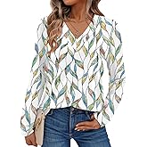 Dealmore Long Sleeve Shirts for Women Tops Spring Teacher Outfits T Shirt V Neck Top Colorful Basic Tees Tshirt Blouses