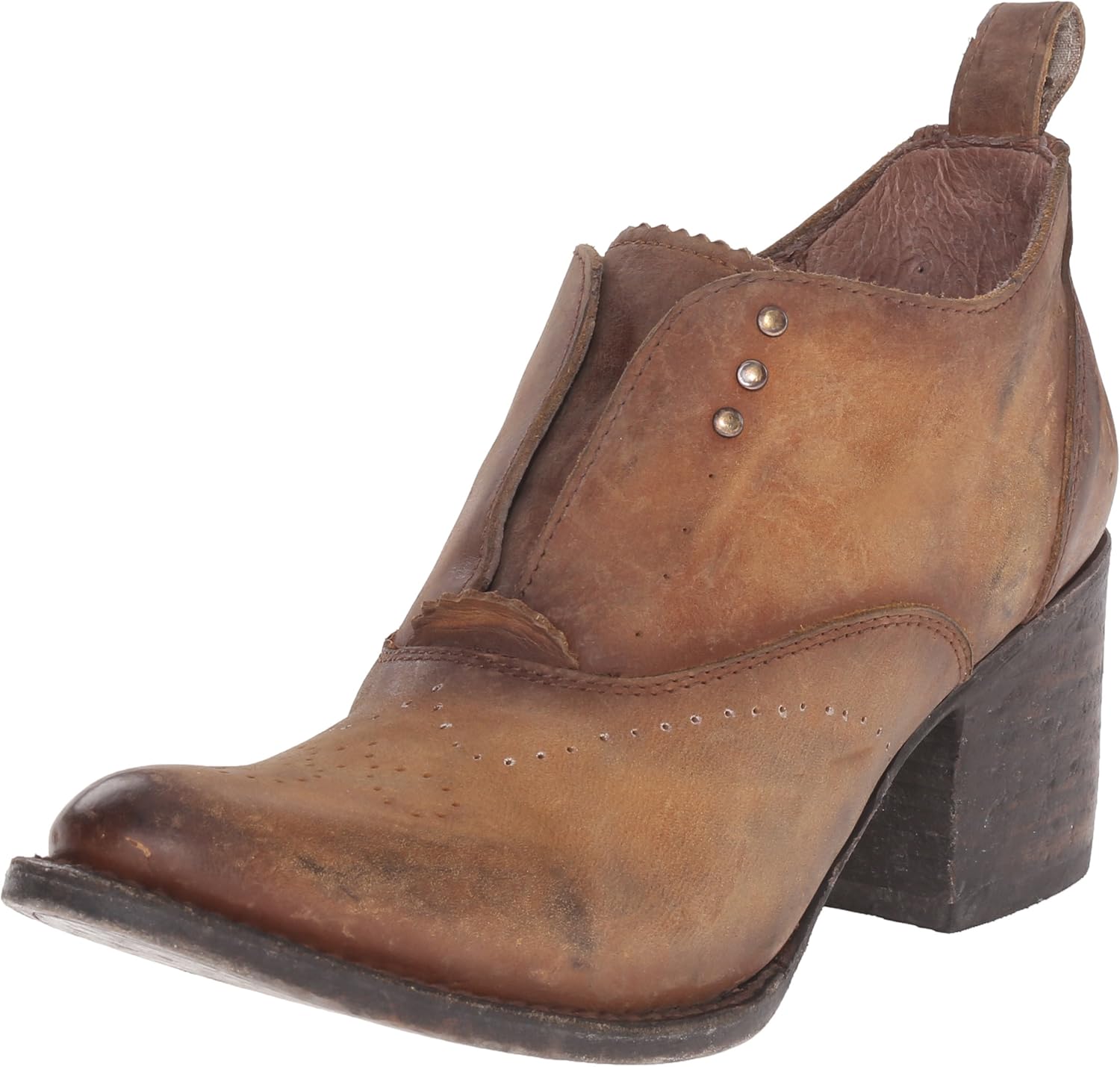 freebird by steven sadie