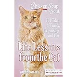 Chicken Soup for the Soul: Life Lessons from the Cat: 101 Tales of Family, Friendship and Fun