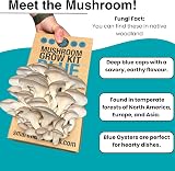 Smart Mushrooms Blue Oyster XL Growing Kit - 14 Day Harvest, Growth Guaranteed view 3