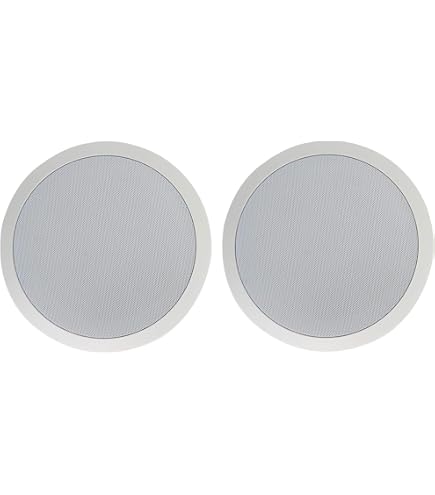 Best Tile Bridge For Ceiling Speaker Installation - Audio Talk