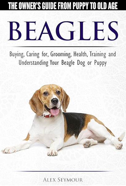 owning a beagle puppy