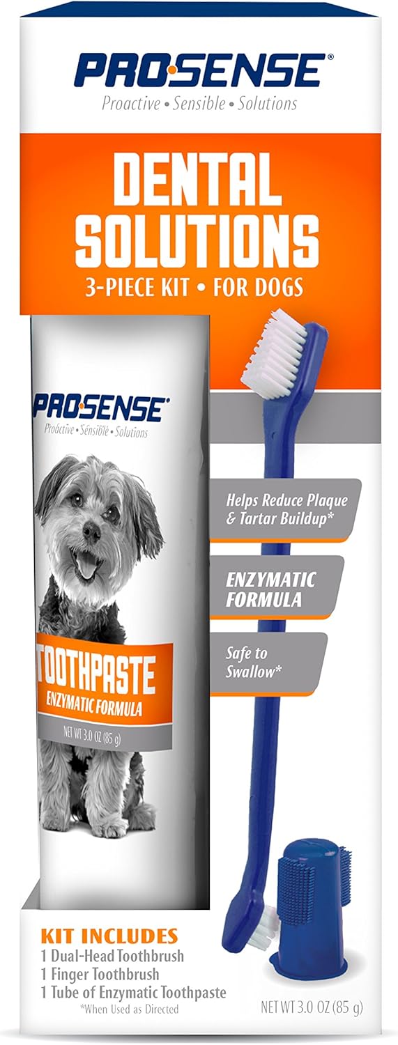 colonial capital humane society new bern nc