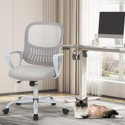 SMUG Home Office Computer Gaming Desk