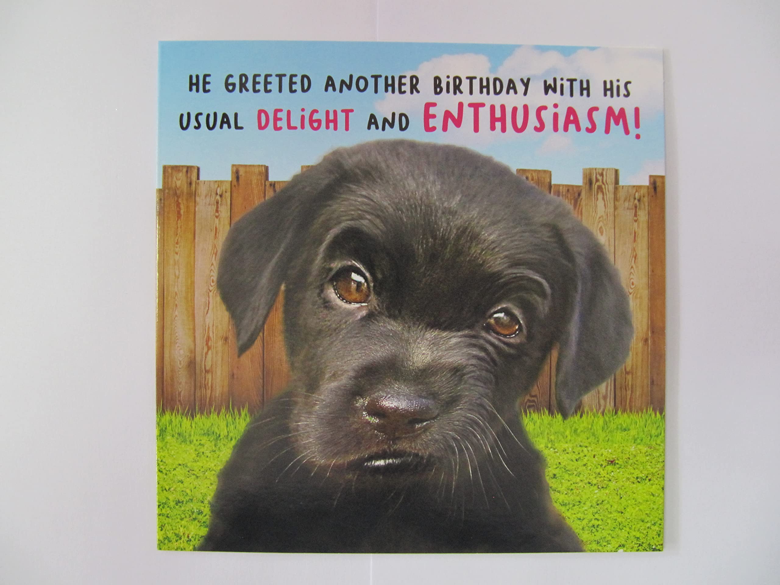 Delight, Birthday, Greetings Card, 163x163mm