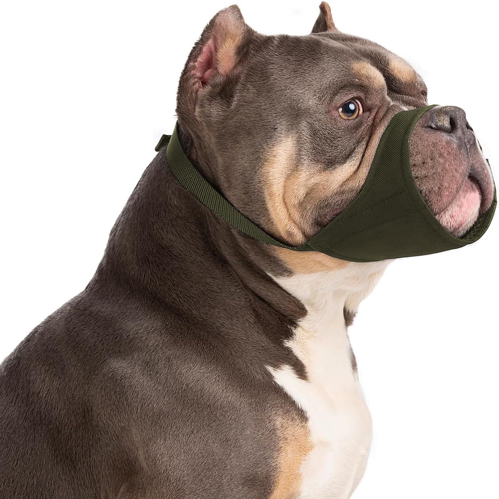 HYHIOTS Dog Muzzle for Small Dog, Short Snout Muzzles for Chihuahua Shih Tzu American Bully Boxer Puppy, Soft Anti Bark and Biting Muzzle for Medium Dogs for Grooming (Army Green, XL)
