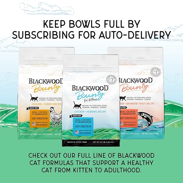 BLACKWOOD BOUNTY DRY CAT FOOD, KITTEN FORMULA, CHICKEN & HERRING RECIPE, 4.5 POUND BAG, HIGH PROTEIN, GRAIN FREE