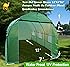 STRONG CAMEL New Hot Green House 12'X7'X7' Larger Walk In Outdoor Plant Gardening Greenhouse