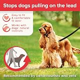 Beaphar Gentle Leader Head Collar for Medium Dogs - Anti-Pull Training view 6