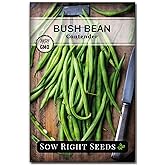 Sow Right Seeds - Contender Bush Bean Seed for Planting Green Beans Garden | Plant stringless non-GMO heirloom variety for home outdoors vegetable gardening. Popular fresh veggies for growing outside.