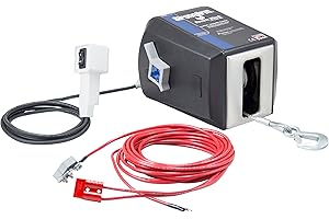 Dutton-Lainson SA9015 12 Volt Electric Winch with Built-in Remote 3000 lb