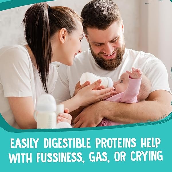 EARTH’S BEST ORGANIC GENTLE INFANT FORMULA WITH IRON MILK BASED POWDER, 21 OZ