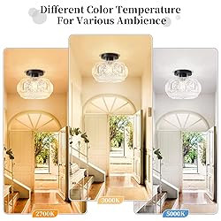 OYKYOHEI Semi Flush Mount Ceiling Light, Globe