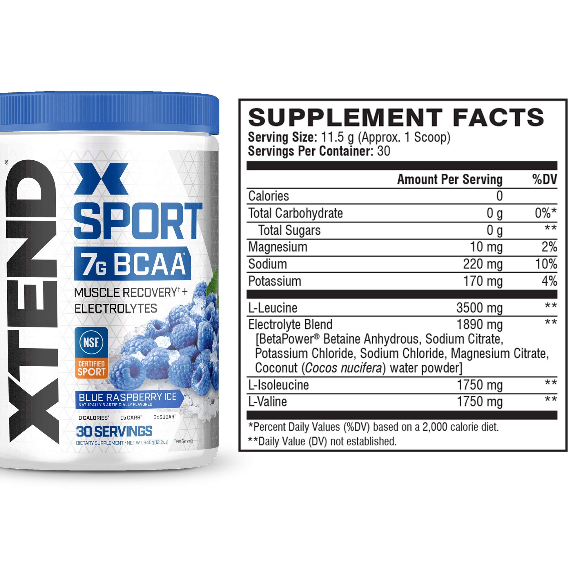 XTEND Sport BCAA Powder Blue Raspberry Ice Electrolyte Powder for